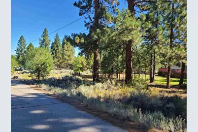 598 Longhorn Drive, Loyalton, CA 96118 - Photo 1