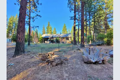 205 C Road, Clio, CA 96103 - Photo 5