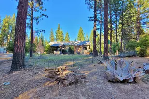 205 C Rd, Clio, CA 96103 - Photo 5