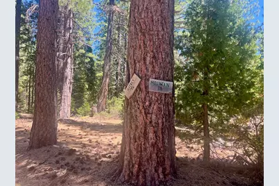 1701 Knobcone Trail, Johnsville, CA 96103 - Photo 21