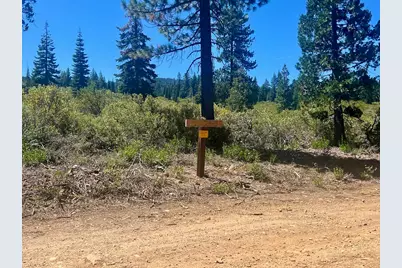 1701 Knobcone Trail, Johnsville, CA 96103 - Photo 23