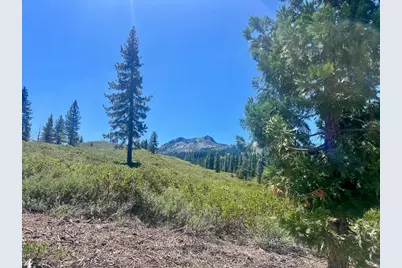 1701 Knobcone Trail, Johnsville, CA 96103 - Photo 25