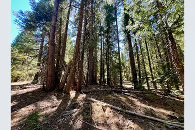 1701 Knobcone Trail, Johnsville, CA 96103 - Photo 17