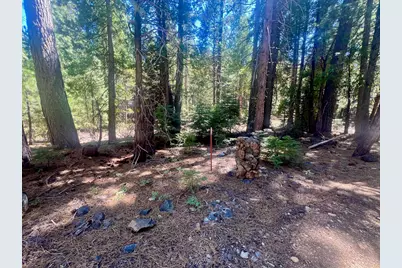 1701 Knobcone Trail, Johnsville, CA 96103 - Photo 5