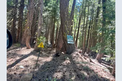 1701 Knobcone Trail, Johnsville, CA 96103 - Photo 15