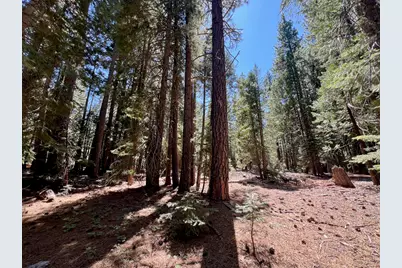 1701 Knobcone Trail, Johnsville, CA 96103 - Photo 3