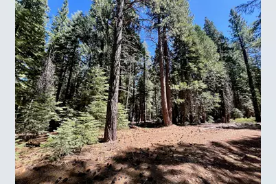 1701 Knobcone Trail, Johnsville, CA 96103 - Photo 13