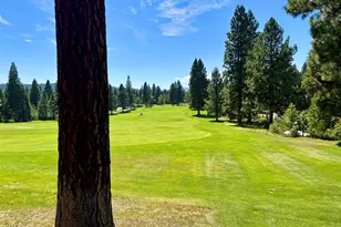 103 Highwood Cir, Lake Almanor, CA 96137 - Photo 23