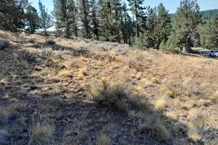 757 Dancing Bears, Portola, CA 96122 - Photo 1