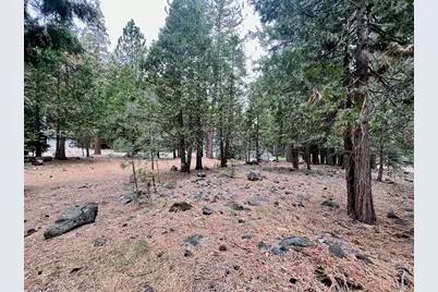 61 Paiute Trail, Graeagle, CA 96103 - Photo 9