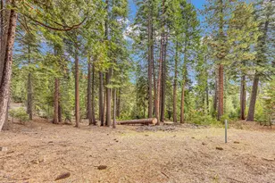 608 E Burnt Cedar Rd, Lake Almanor, CA 96137 - Photo 33