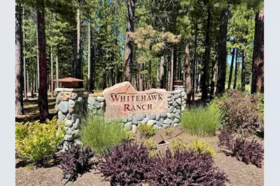 181 Quail View Circle, Clio, CA 96106 - Photo 15