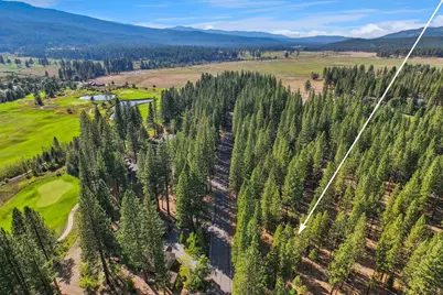 181 Quail View Circle, Clio, CA 96106 - Photo 7