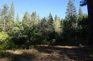 1986 Rebecca Ln, Quincy, CA 95971 - Photo 43