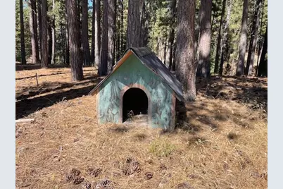 1446 Highway 89, Clio, CA 96106 - Photo 35