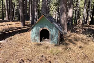 1446 Hwy 89, Clio, CA 96106 - Photo 35