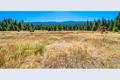 1446 Highway 89, Clio, CA 96106 - Photo 39