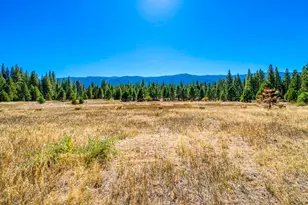 1446 Hwy 89, Clio, CA 96106 - Photo 39