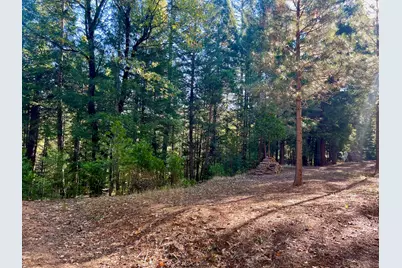 1222 Quincy La Porte Road, Quincy, CA 95971 - Photo 23