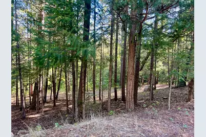 1222 Quincy La Porte Road, Quincy, CA 95971 - Photo 27