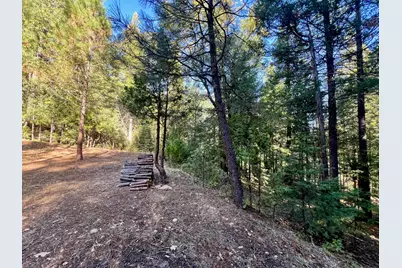 1222 Quincy La Porte Road, Quincy, CA 95971 - Photo 29