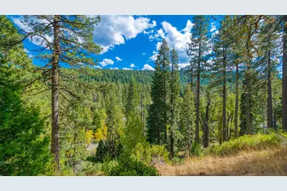5382 Main Street, Johnsville, CA 96103 - Photo 41