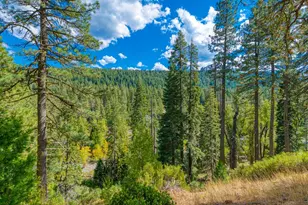 5382 Main St, Johnsville, CA 96103 - Photo 41