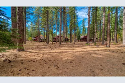 24 Deer Creek Crossing, Clio, CA 96106 - Photo 49