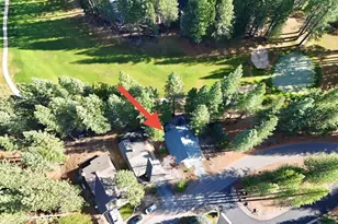 110 Cottonwood Dr, Graeagle, CA 96103 - Photo 37