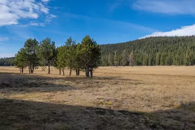 996 Fibreboard Road, Sierraville, CA 96160 - Photo 39
