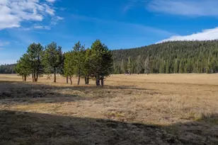 996 Fibreboard Rd, Sierraville, CA 96160 - Photo 39