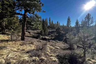 553 Great Spirit, Portola, CA 96122 - Photo 13