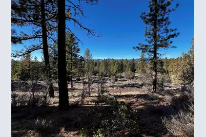 553 Great Spirit #11, Portola, CA 96122 - Photo 7