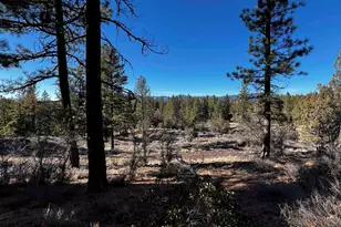 553 Great Spirit, Portola, CA 96122 - Photo 7