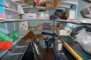 2540 Forest Knoll Ln, Quincy, CA 95971 - Photo 27
