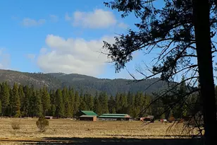 1000 Golden Feather Rnch Rd, Graeagle, CA 96103 - Photo 7