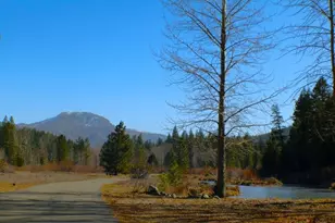 1000 Golden Feather Rnch Rd, Graeagle, CA 96103 - Photo 49