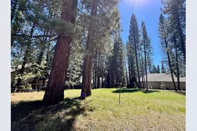 142 Cottonwood Drive, Blairsden, CA 96103 - Photo 1