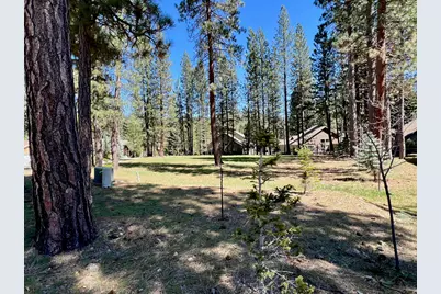 142 Cottonwood Drive, Blairsden, CA 96103 - Photo 11