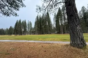 133 Cottonwood Dr, Blairsden, CA 96103 - Photo 37