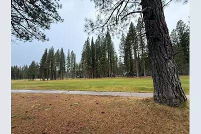 133 Cottonwood Drive, Blairsden, CA 96103 - Photo 37