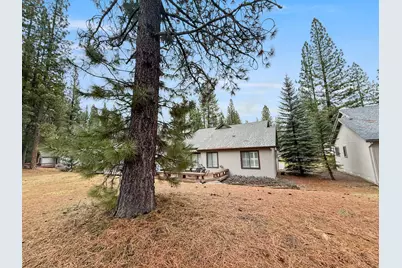 133 Cottonwood Drive, Blairsden, CA 96103 - Photo 33
