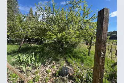 17347 Mountain View Road, Crescent Mills, CA 95947 - Photo 27