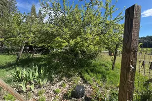 17347 Mountain View Rd, Crescent Mills, CA 95947 - Photo 27