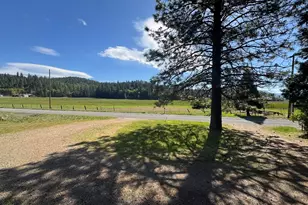 17347 Mountain View Rd, Crescent Mills, CA 95947 - Photo 5