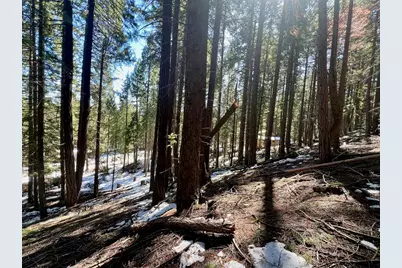 84 Yonkalla Trail, Graeagle, CA 96103 - Photo 25