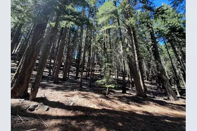 84 Yonkalla Trail, Graeagle, CA 96103 - Photo 49