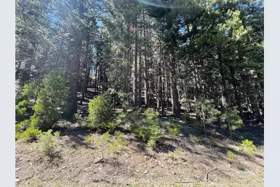 84 Yonkalla Trail, Graeagle, CA 96103 - Photo 47