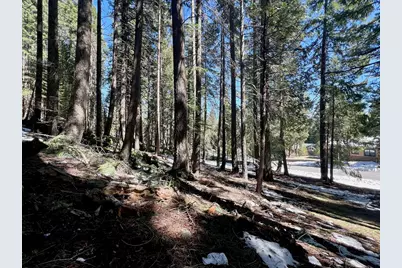84 Yonkalla Trail, Graeagle, CA 96103 - Photo 23