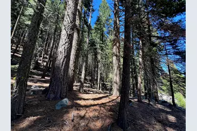 84 Yonkalla Trail, Graeagle, CA 96103 - Photo 5
